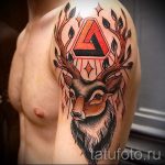 cerfs de tatouage dans le trougao - Fotografija primjer d'un tatouage frais sur 14072016 2