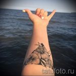 fleurs dans un tatouage trougao - primjer fotografije d'un tatouage frais sur 14072016 1