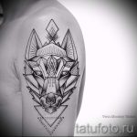 loup tatouage dans le trougao - Fotografija primjer d'un tatouage frais sur 14072016 1