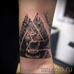 tatouage Lion dans le trougao - Photo exemplaire d'un tatouage frais sur 14072016 1