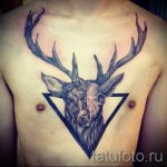 tetoviranje jelena u trokutu - Primjer fotografije cool tetovaže na 14072016 1