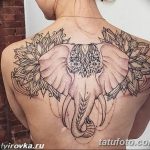 Photo Tattoo linework od 17.08.2018. №112 - Layervork za tetovaže -