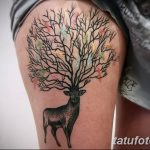 Photo Tattoo linework od 17.08.2018. №179 - laynvork tattoo -
