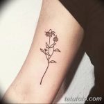 Photo Tattoo linework od 17.08.2018. №183 - Layynvork tattoo -