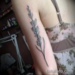 Photo Tattoo linework od 17.08.2018. №243 - tattoo laynvork -