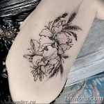 Photo Tattoo linework od 17.08.2018. №278 - Laytvork za tetovaže -