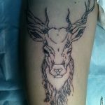 Photo Tattoo linework od 17.08.2018. №051 - tattoo Laynvork -