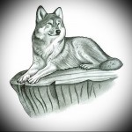 скица на вълк, който лъже