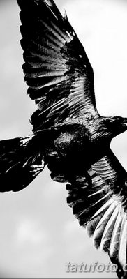 Fénykép egy hollótetoválásról, kelte: 2018.09.15. №140 - holló tetoválás -