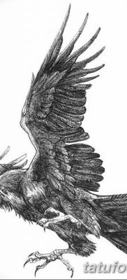 Fotó egy hollótetoválásról, kelte: 2018.09.15. №145 - holló tetoválás -