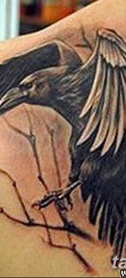 Fotó egy hollótetoválásról, kelte: 2018.09.15. №148 - holló tetoválás -