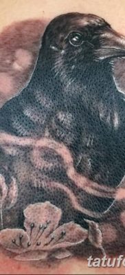 Fotó egy hollótetoválásról, kelte: 2018.09.15. №152 - holló tetoválás -