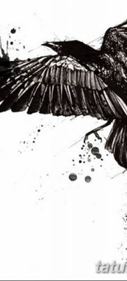 Fotó egy hollótetoválásról, kelte: 2018.09.15. №165 - holló tetoválás -