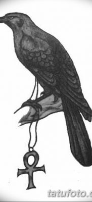 Fotó egy hollótetoválásról, kelte: 2018.09.15. №167 - holló tetoválás -