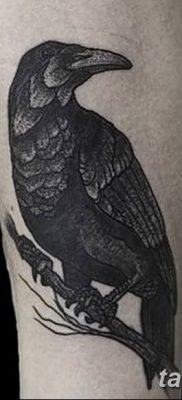 Fotó egy hollótetoválásról, kelte: 2018.09.15. №188 - holló tetoválás -