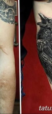 Fotó egy hollótetoválásról, kelte: 2018.09.15. №197 - holló tetoválás -