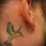 kolibri tetoválás a fül mögött 3