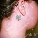 trèfle tatouage derrière l'oreille - les photos de tatouages ​​options de finis 1