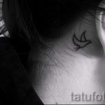 madarak a fül mögött tetoválás - fotók a kész tetoválások lehetőségeiről 1