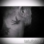 fecske tetoválás a fül mögött - fényképek a kész tetoválásokról 2