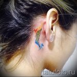 toll a fül mögött tetoválás - fotók a kész tetoválási lehetőségekről 17