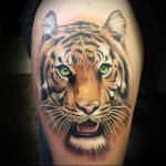 tigris arc tetoválás a lábán a férfiak számára