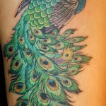 fényes páva tetoválása buja farokkal a lábán egy lány számára