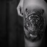 tigris tetoválás a lábán a lány számára