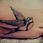 fecske tetoválás színes szárnyakkal