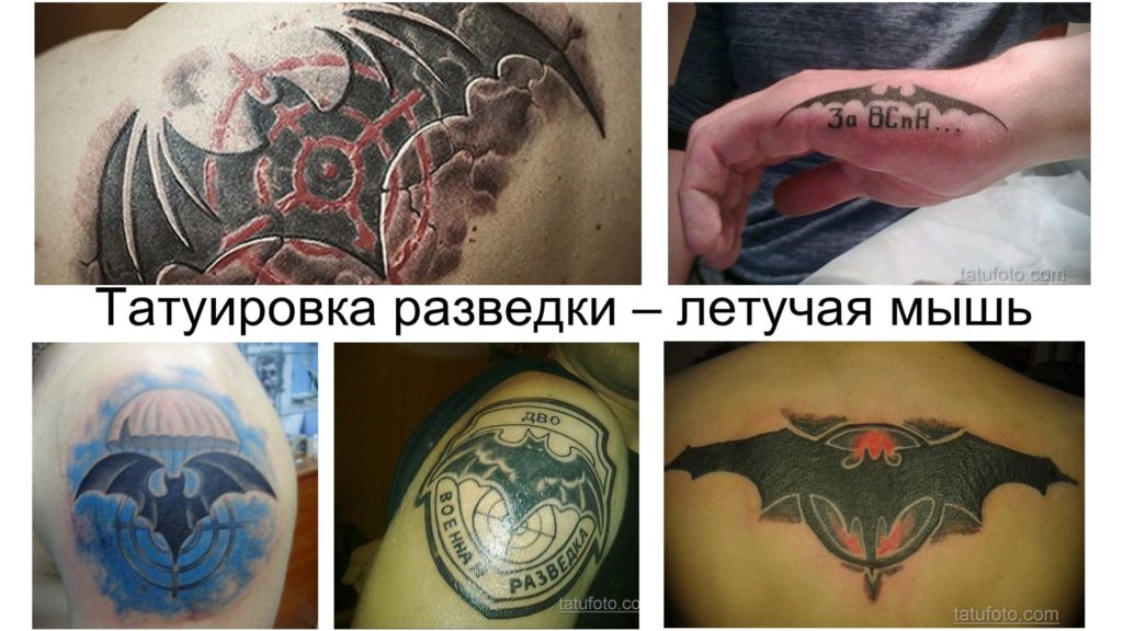 Intelligence tetoválás - denevér - információk a rajz jellemzőiről és a kész tetoválások fotó példái