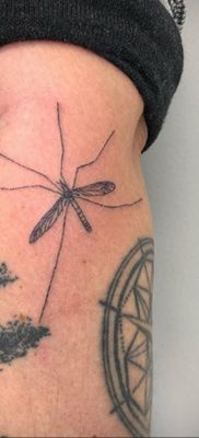 Zdjęcie tatuażu komara 25.04.2020 №005 -tatuaż komara-