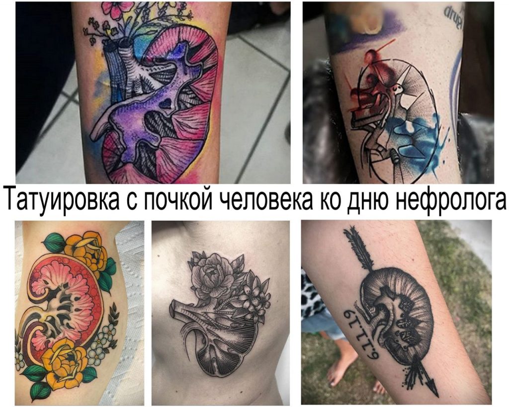 Tatuaż z ludzką nerką na dzień nefrologa - informacje o cechach i przykładowe zdjęcia wzorów tatuaży