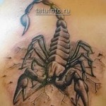 skorpió tetoválás