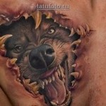 farkas tetoválás 3d