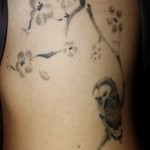 gałąź sakury i mała sowa - tatuaż z boku kobiety