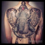 Tatuaż słonia na plecach 30.11.2020 №019 -tatuaż słonia na plecach-