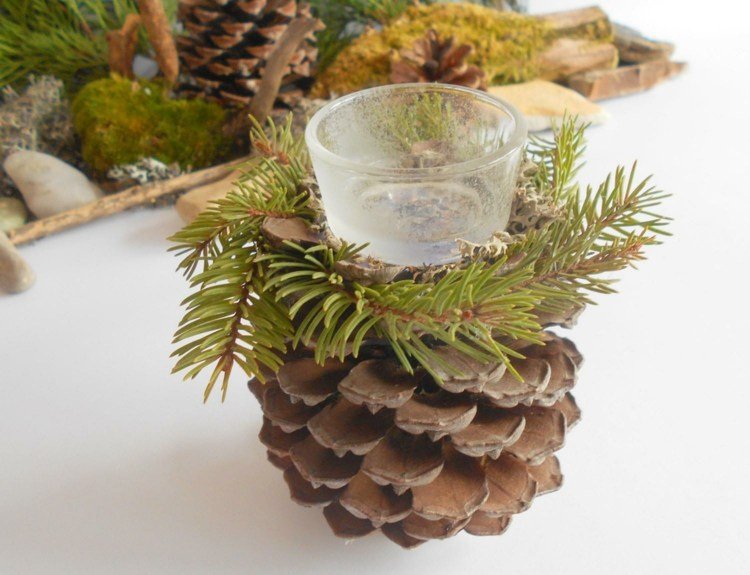 Vyrobte čajové sviečky z borovicových šišiek a borovicovej zelene