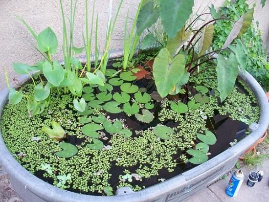 vedierko na jazierko vodná záhrada urob si sám kovová vaňa