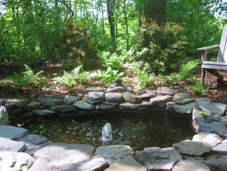 Rybník-potok-záhrada-stavať-tieň-vyber si