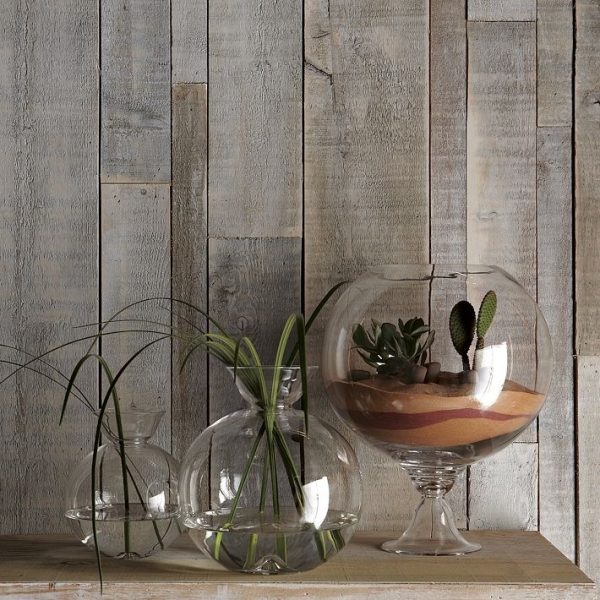 Usporiadajte sklenené teráriové rastliny