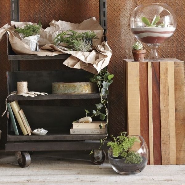 Zaujímavý nápad na dizajn vnútornej záhrady