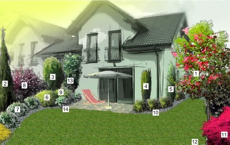 Všade naokolo vysaďte terasu.Plán výsadby na opätovnú výsadbu