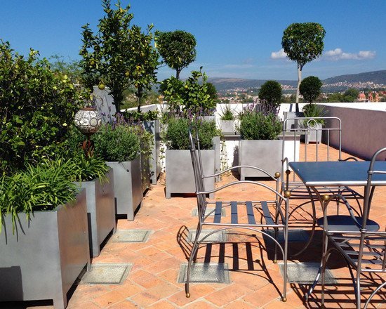 strešná terasa stromy kvetináče súkromie obrazovka