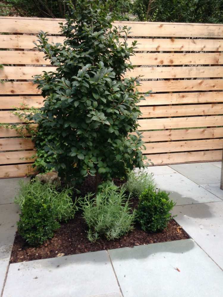 terasa-záhradníctvo-výsadba-záhon-nápad-strom-ochrana-súkromia-drevené-dosky