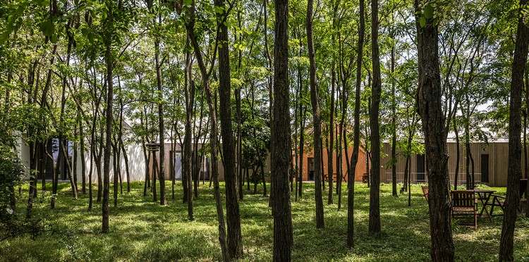 bývanie v prírodnom statku v akáciovom lese