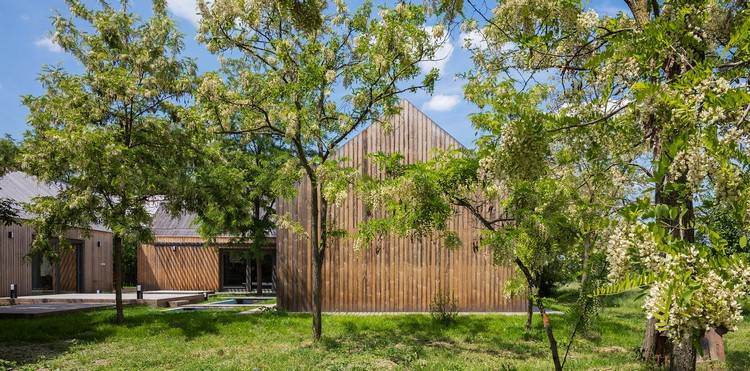 statok uprostred akáciového lesa žije na vidieku