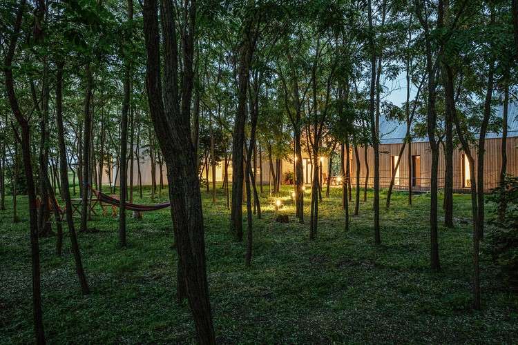 akátový lesný statok ústup medzi stromami