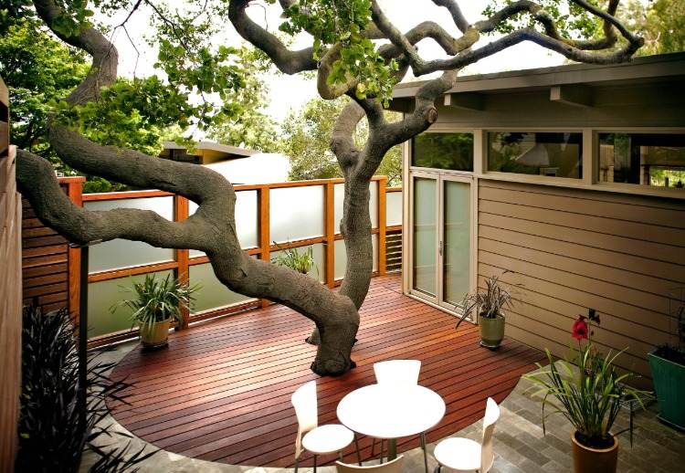 veľký strom poskytujúci tieň uprostred terasy s drevenými podlahovými doskami v modernom štýle