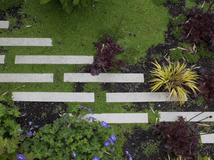 terasa-doska-betón-úzky-predĺžený-dizajn-záhradný dizajn