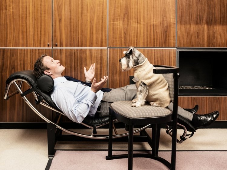 Terapeutický pes pre depresiu, ktoré plemená psov pre terapeutický pes